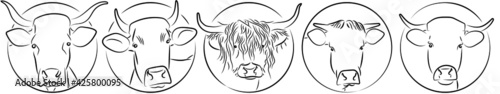 Rinder Kühe Kreis Logos Konturen Vektor Grafik Lineart