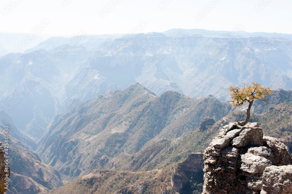 Obraz premium Paisaje de Chihuahua