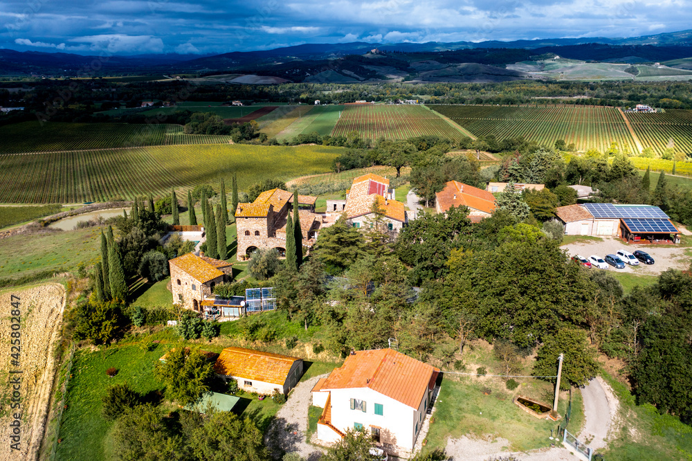 Aerial view, estate with olives and cypress trees, Cinigiano, Grosseto Province, Tuscany, Italy