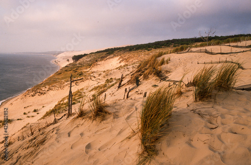 Dune du Pilat, Bassin d'Arcachon, Landes de Gascogne, 33, Gironde