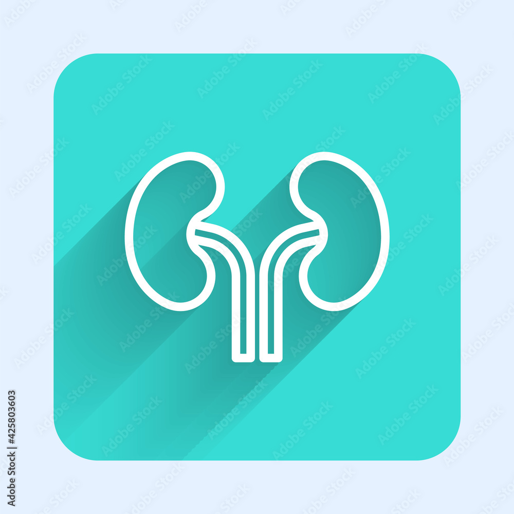 Obraz premium White line Human kidneys icon isolated with long shadow. Green square button. Vector