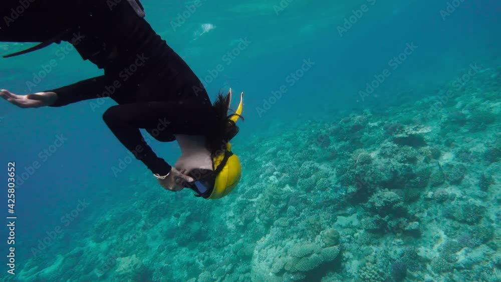 Video „Scuba diver diving underwater in wetsuit. Pliant girl performing trick in scuba diving