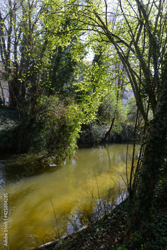 chemin de randonnée, rivière, L’Orge, Juvisy sur Orge, Essonne, 91