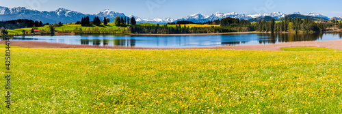 beautiful panoramic landscape in Bavaria  Germany