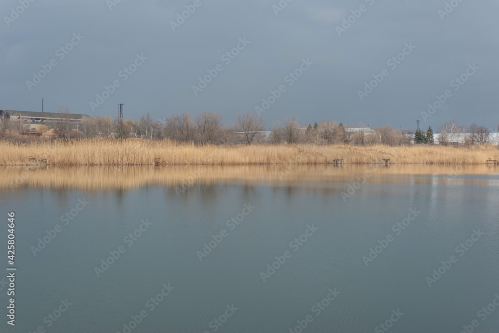 sunny landscape of reeds and sky on the lake, in reflection. Art landscape on a sunny day