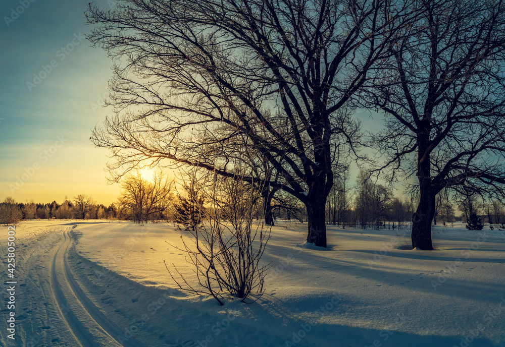 Beautiful winter dawn in the forest with skiing on snow.