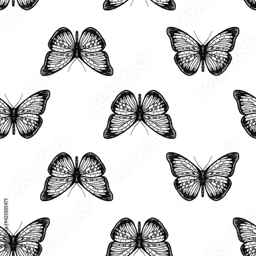 Isolated bitmap image of black butterflies on a white background, pattern. Digital imitation of a pencil. Design for wallpaper, fabrics, textiles. photo