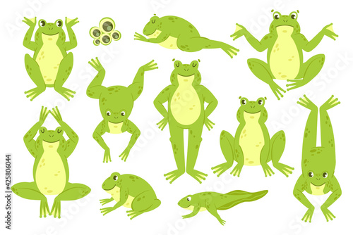 Frog cute vector illustration set. Cartoon funny happy green frog characters croak jump hop leap sleep, froglet toad froggy in different amphibian water animal poses collection isolated on white