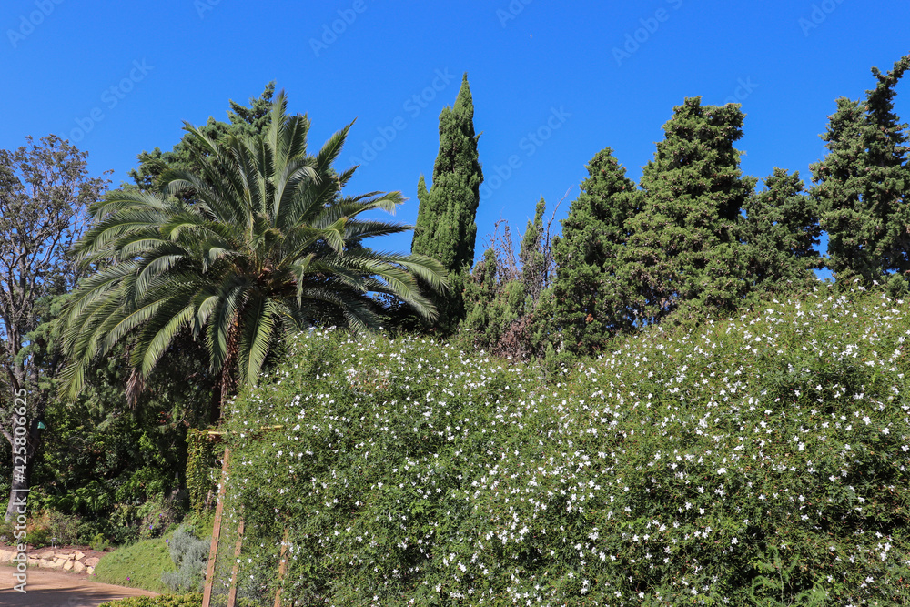 Espagne - Costa Brava - Blanès - Jardin botanique de Marimurtra - Promenade au milieu des arbres Espagne - Costa Brava - Blanès - Jardin botanique de Marimurtra - Promenade au milieu des arbres