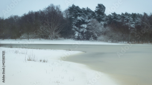 Wallpaper Mural snow landscape north germany in the morning with sunlight Torontodigital.ca