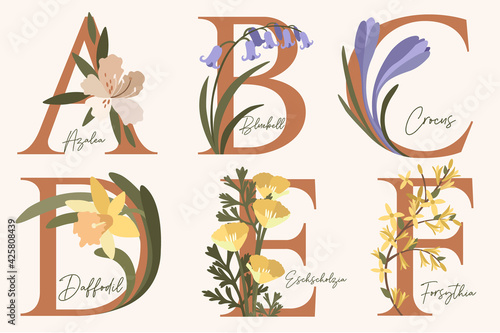Hand Drawn floral alphabet with spring flowers.Letters A, B, C, D, E, F with flowers azalea, bluebell,crocus,daffodil,forsythia,eschscholzia