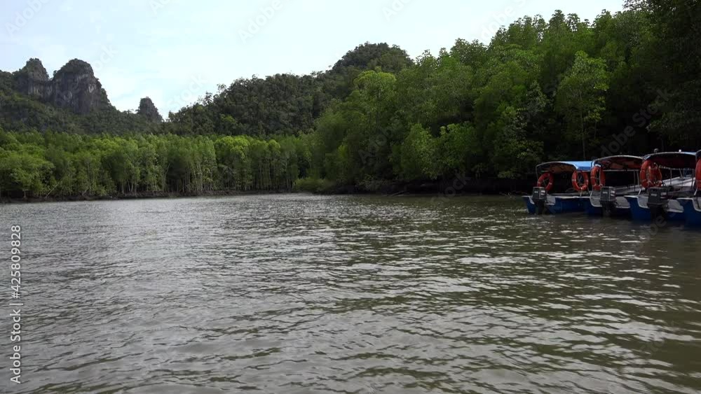 boat trip in mangrooves forest in malaysia. boat trip in mangrooves forest in malaysia.