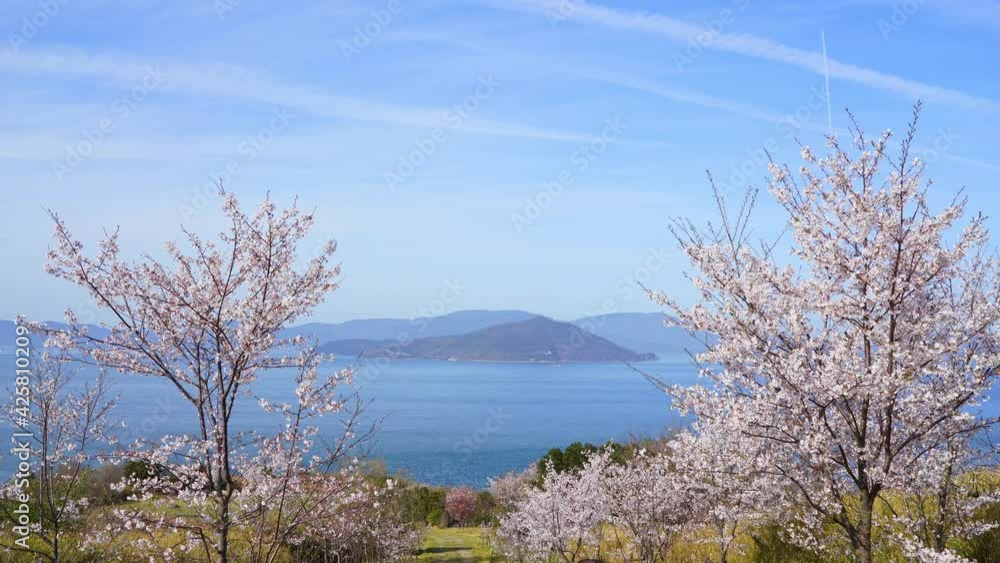 桜 瀬戸内海(香川県さぬき市大串公園から小豆島方面を撮影) 桜 瀬戸内海(香川県さぬき市大串公園から小豆島方面を撮影)