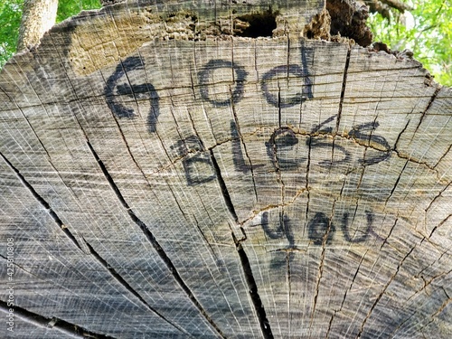 God Bless You Written in a fallen tree