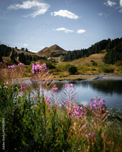 lac fleuri de montagne