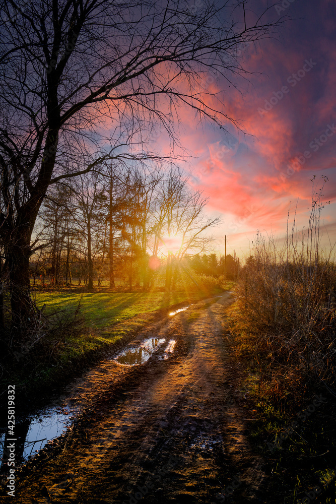 Country Road at sunset