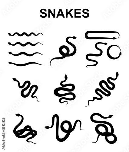 Snake Vector Icon, Viper Symbol, Serpent Sign