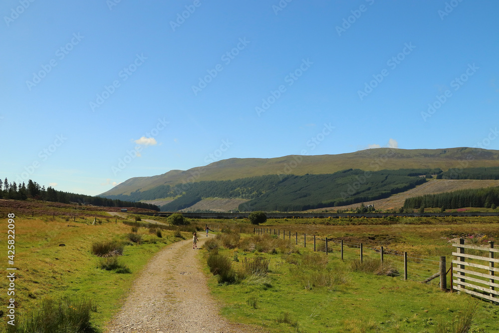 Fototapeta premium Sunny day in the Highlands on the way to Aviemore