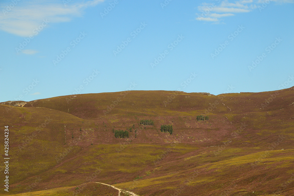 Obraz premium View out from high up in the Cairngorms
