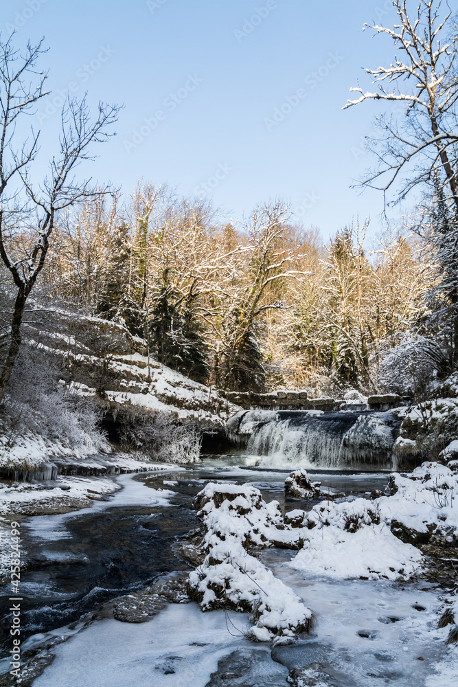 river in winter forest river in winter forest