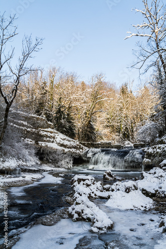 river in winter forest