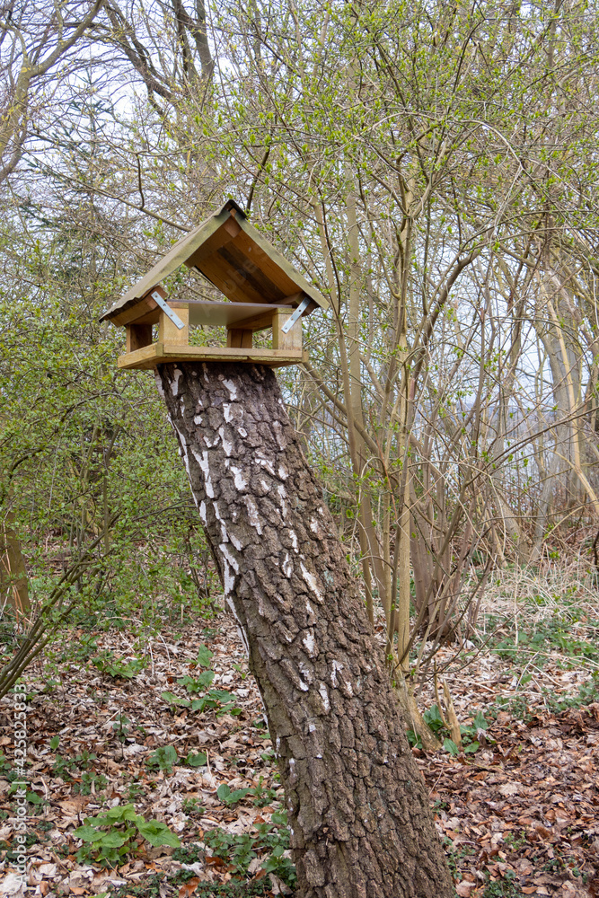 birdhouse is on the end of a sawed off tree trunk birdhouse is on the end of a sawed off tree trunk