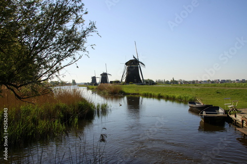 Obraz na plátně Windmills in dutch polder landscape