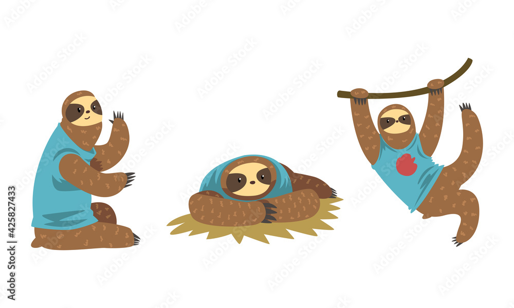 Fototapeta premium Sloth Character Set, Funny Slothful Tropical Animal in Various Poses Cartoon Vector Illustration