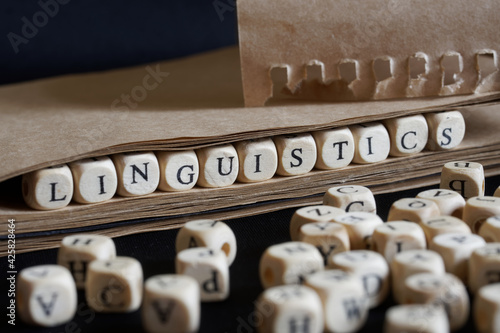 The word linguistics is made with wooden cubes next to a notebook made of eco-friendly paper. Concept of studying modern language sciences and teaching in school or college photo