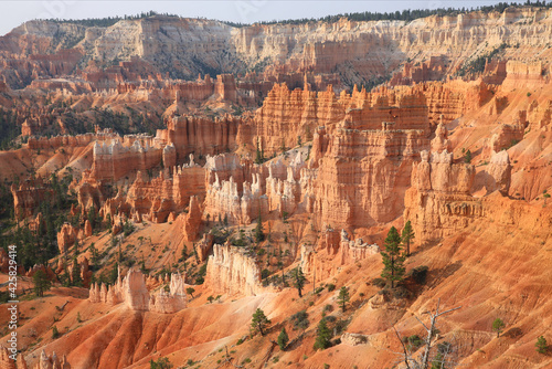 Bryce Canyon National Park in Utah, USA