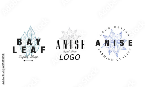 Set of Culinary Spices, Bay Leaf, Anise Cooking Ingredients Badges Cartoon Vector Illustration