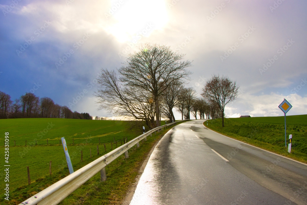 Fototapeta premium Nasse Straße und Landschaft ;Mittelgebirge bei Paderborn 