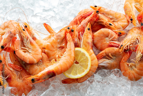 Shrimps with lemon slices on the ice.