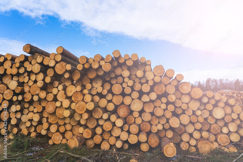 deforestation for roads, wood harvesting, wood as a renewable biological resource, deforestation area for highways deforestation for roads, wood harvesting, wood as a renewable biological resource, deforestation area for highways