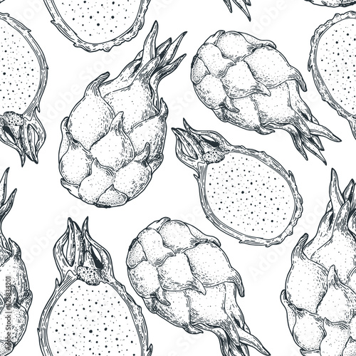 Dragon fruit hand drawn sketch, package design. Seamless pattern. Vector illustration. Design, fabric, brochure illustration. Vintage retro design. Pitaya pattern. Can used for packaging design.