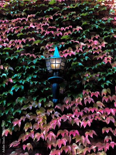 autumn mood