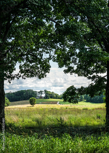 Tree and farm landscape