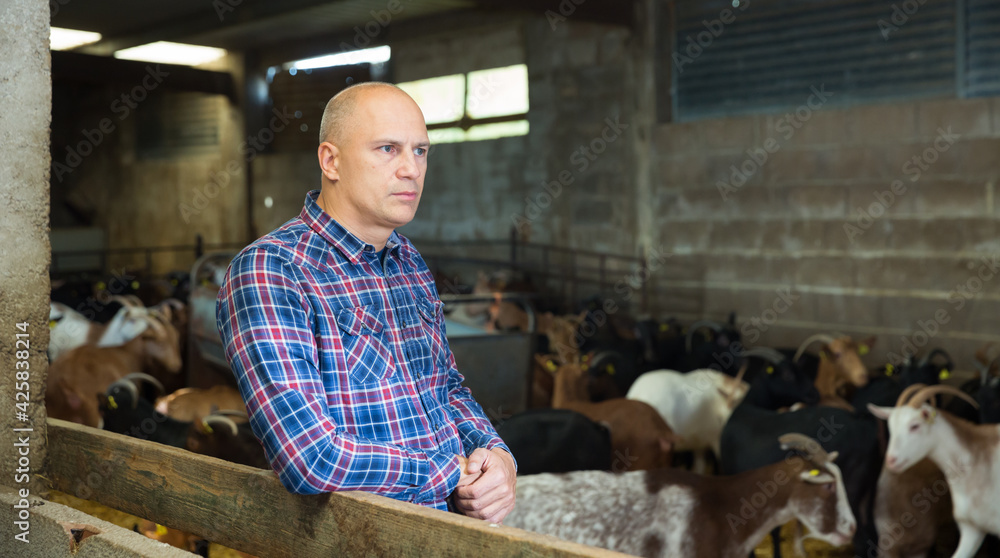 Fototapeta premium Confident man owner of dairy farm. High quality photo