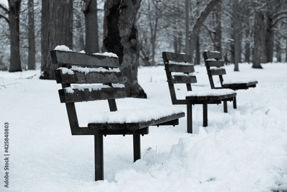 snow covered benches in park 