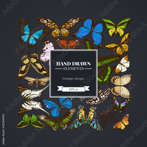 Square design on dark background with great orange-tip, emerald swallowtail, jungle queens, plain tiger, rajah brooke s birdwing, papilio torquatus, swallowtail butterfly