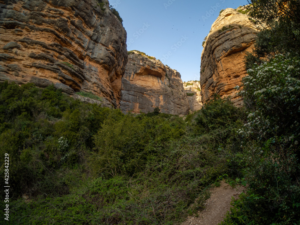 environment of the road towards the gorges of san julian in the municipal term of nueno in the province of huesca