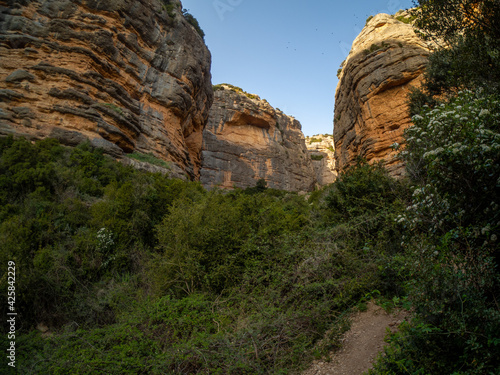 environment of the road towards the gorges of san julian in the municipal term of nueno in the province of huesca