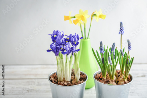 Spring flowers in flower pots