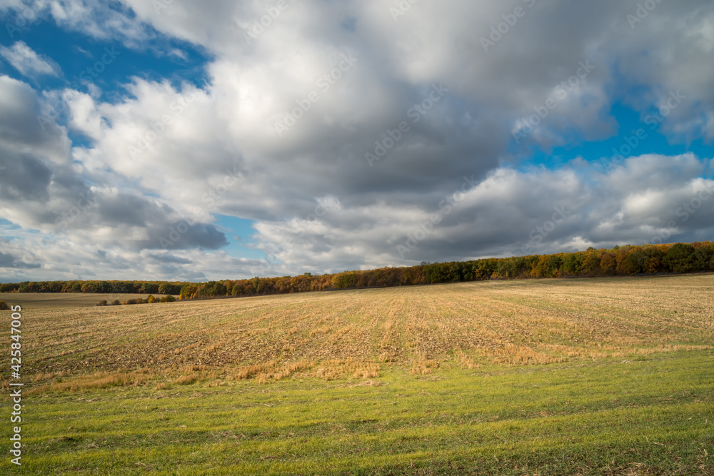 Field  and trees under cloudy sky at sunlight. Autumn