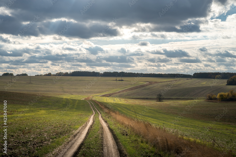 Field  and country road under cloudy sky at sunlight. Autumn