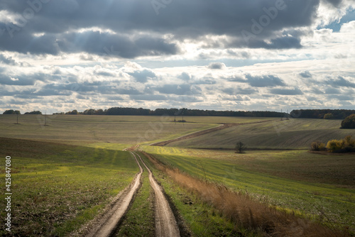Field and country road under cloudy sky at sunlight. Autumn