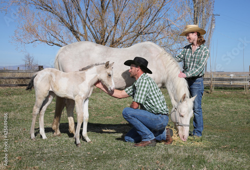 фотографія adult western couple petting horse family in grassy field full-length