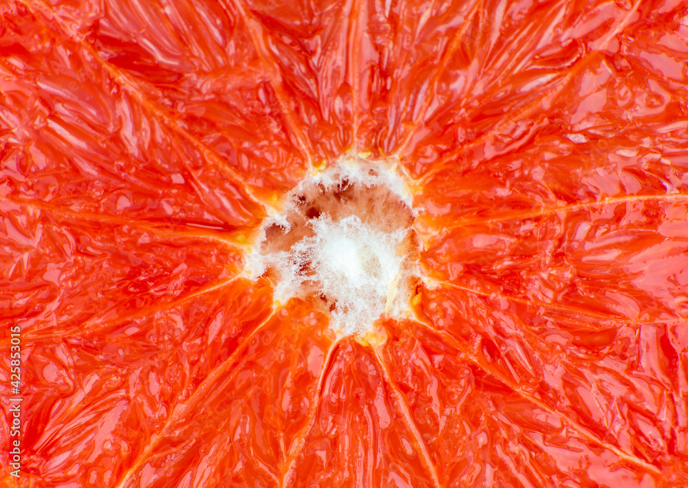 Grapefruit texture inside on the white background. Citrus close up photo. Healthy lifestyle photo. Beautiful wallpaper. Vegetarian and vegan concept. Vitamins from nature. Grapefruit texture inside on the white background. Citrus close up photo. Healthy lifestyle photo. Beautiful wallpaper. Vegetarian and vegan concept. Vitamins from nature.