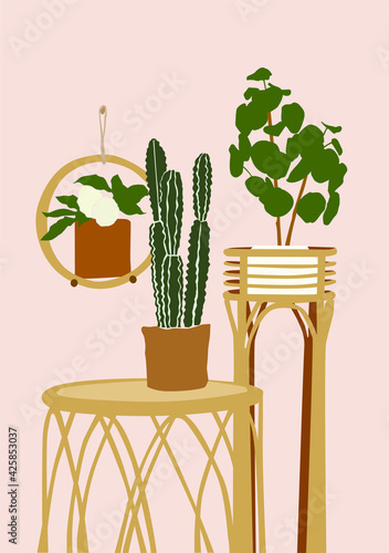Cacti and flowerpots on the pink isolated background.