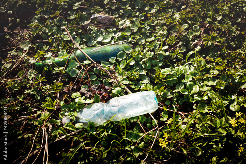 Śmieci w lokalnym parku. Szklana butelka po piwie i plastikowa po wodzie mineralnej.